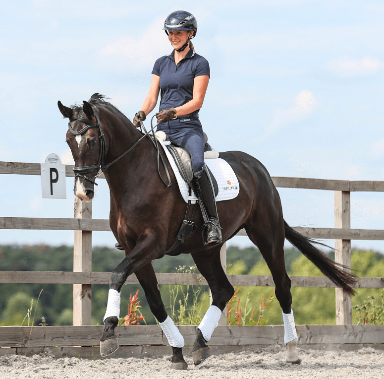 Equilibriumストレッチ＆フレックス・フラットワークラップ - 馬具・乗馬用品のサジタリアス